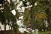 Birds Photography-Copyright © 2011 Dewakar Chandran birds photography