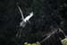 Birds Photography-Copyright © 2011 Dewakar Chandran birds photography